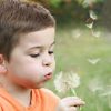 pexels-sharefaith-491036-1231215